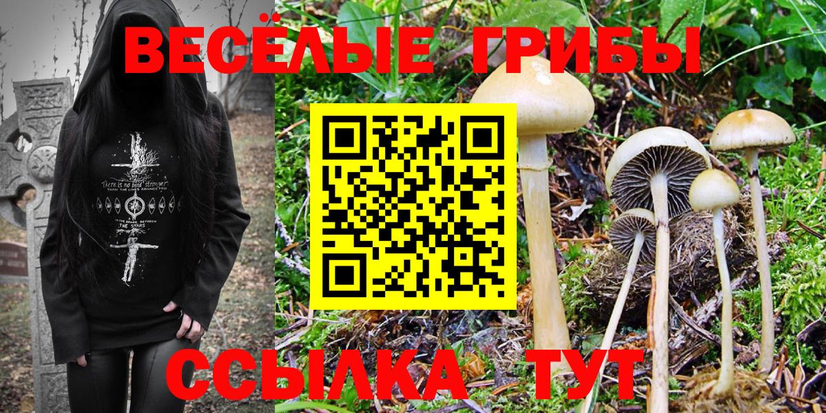 Псилоцибиновые грибы ЛСД Лобня