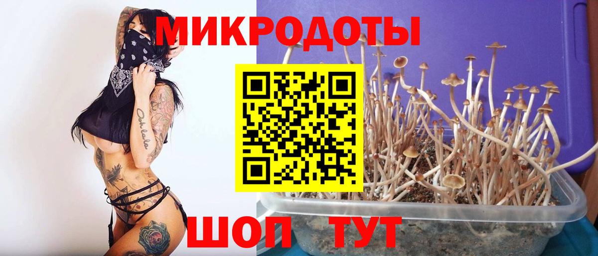 Лобня  Псилоцибиновые грибы ЛСД  Вход с VPN 